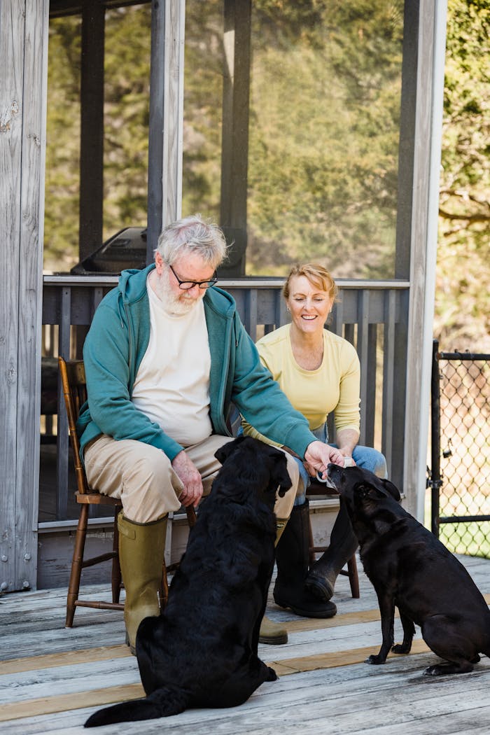 Senior couple seated outside with their two dogs, enjoying a sunny day on the porch.